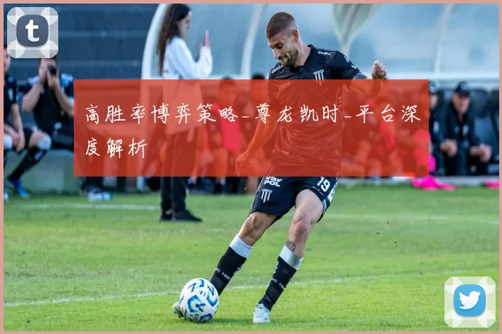 高胜率博弈策略_尊龙凯时_平台深度解析