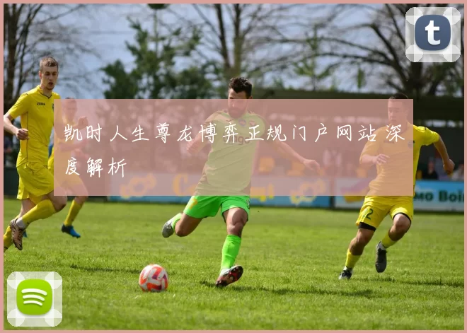 凯时人生尊龙博弈正规门户网站 深度解析