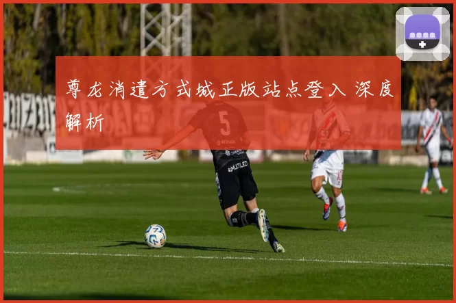 尊龙消遣方式城正版站点登入 深度解析