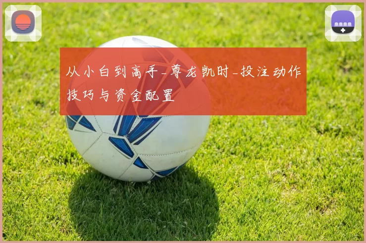 从小白到高手_尊龙凯时_投注动作技巧与资金配置