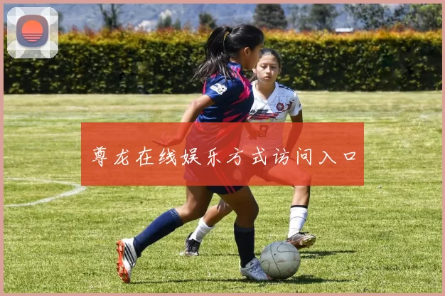 尊龙在线娱乐方式访问入口