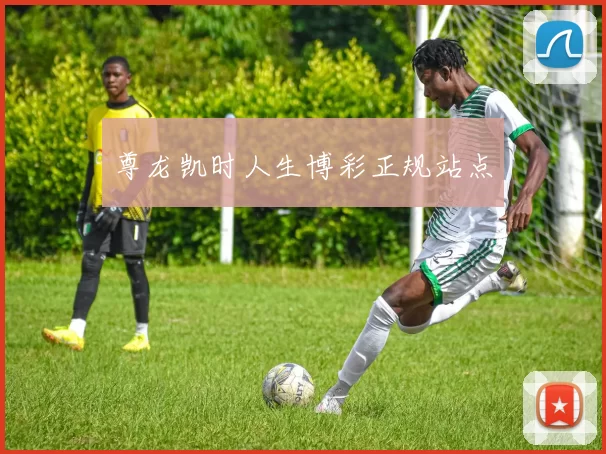 尊龙凯时人生博彩正规站点