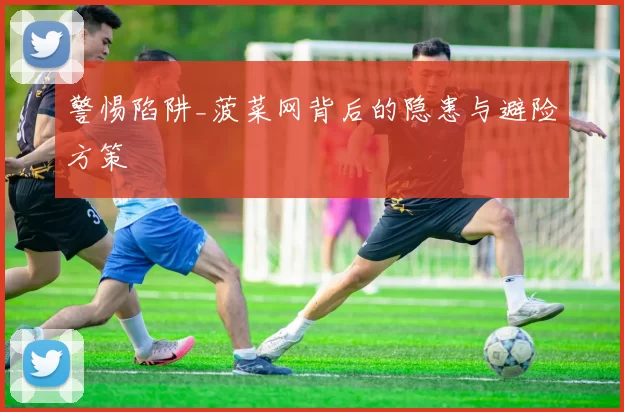 警惕陷阱_菠菜网背后的隐患与避险方策