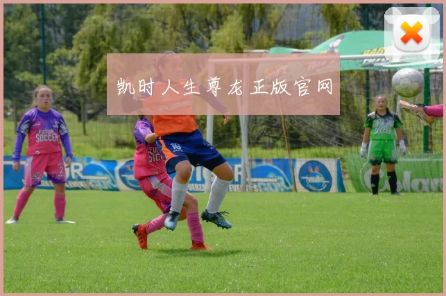 凯时人生尊龙正版官网