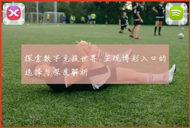 探索数字竞技世界_正规博彩入口的选择与深度解析