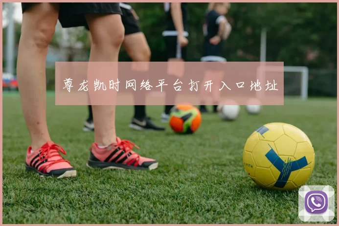 尊龙凯时网络平台打开入口地址