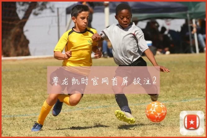 尊龙凯时官网首屏 投注2