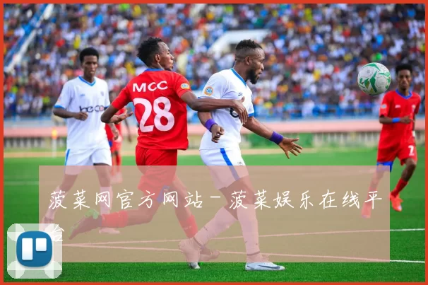 菠菜网官方网站 - 菠菜娱乐在线平台