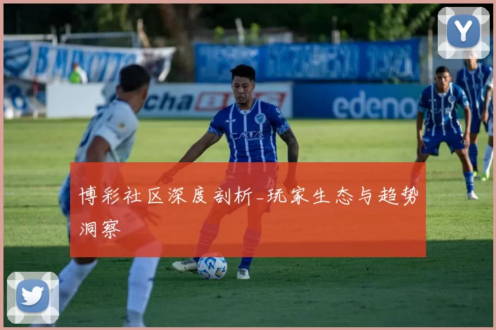 博彩社区深度剖析_玩家生态与趋势洞察