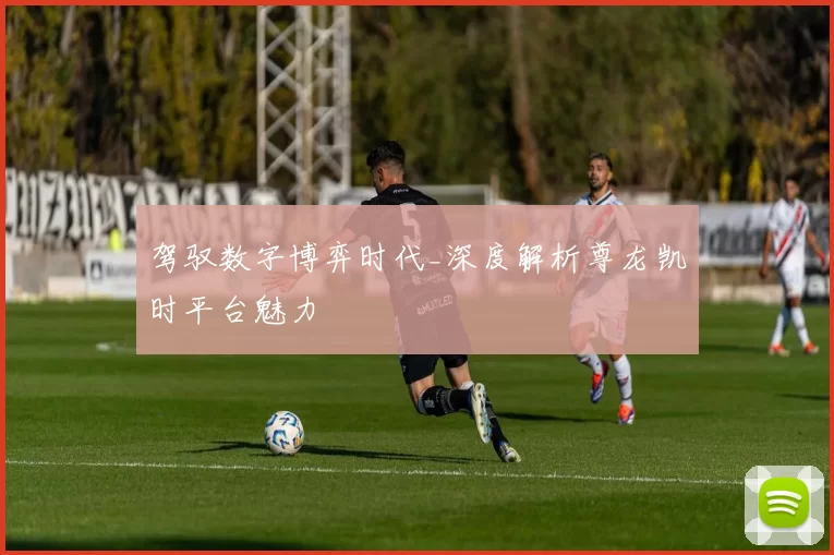 驾驭数字博弈时代_深度解析尊龙凯时平台魅力