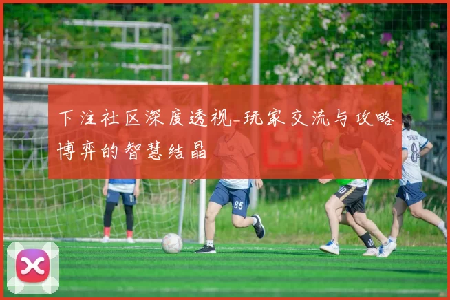 下注社区深度透视_玩家交流与攻略博弈的智慧结晶