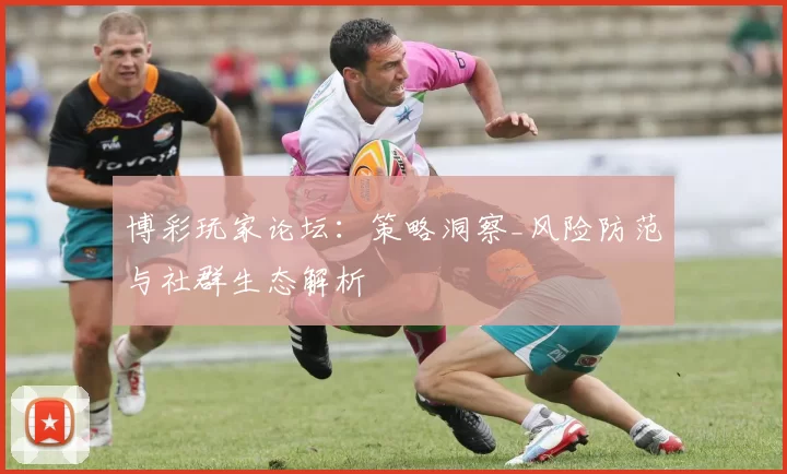 博彩玩家论坛：策略洞察_风险防范与社群生态解析