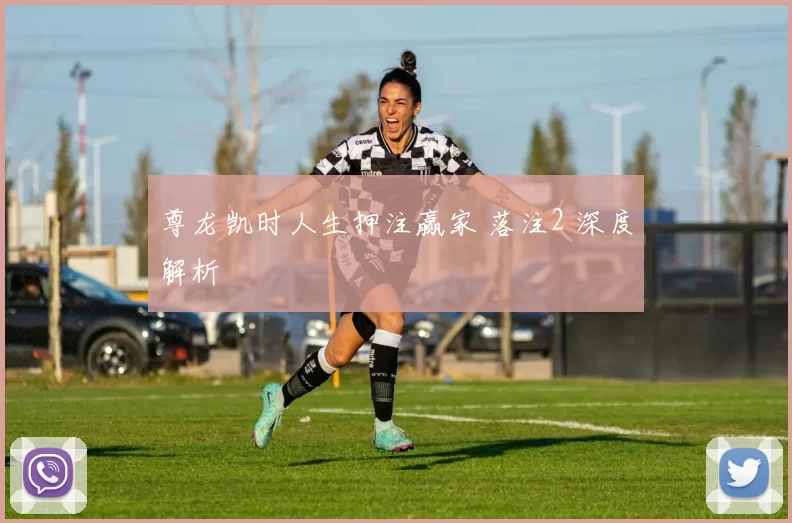 尊龙凯时人生押注赢家 落注2 深度解析
