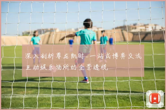 深入剖析尊龙凯时_一站式博弈交流互动娱乐场所的全景透视