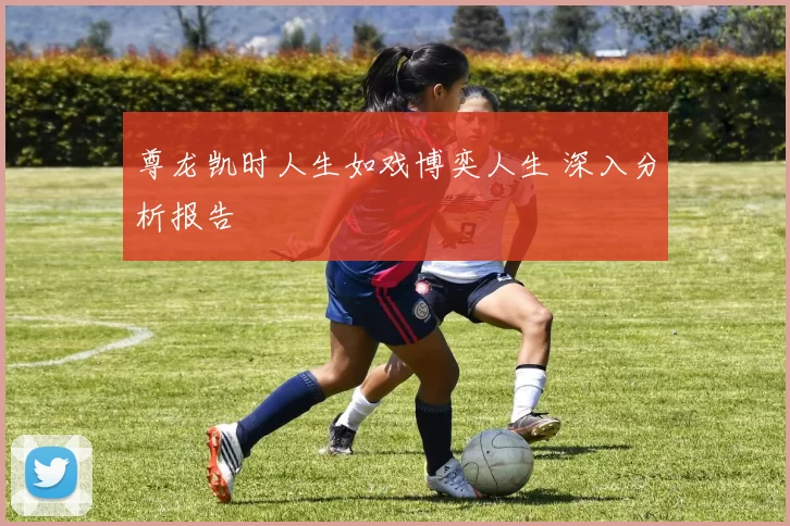 尊龙凯时人生如戏博奕人生 深入分析报告