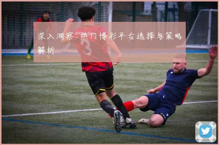 深入洞察_热门博彩平台选择与策略解析
