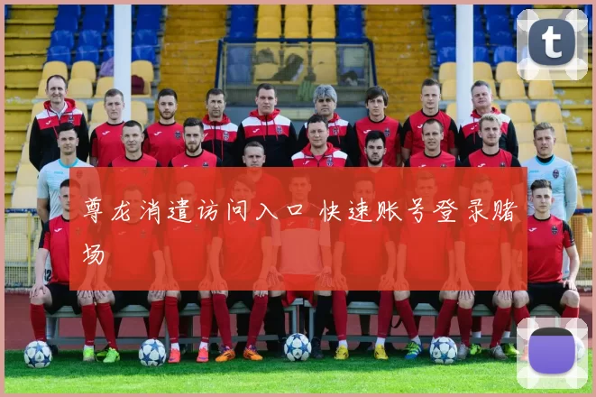 尊龙消遣访问入口 快速账号登录赌场