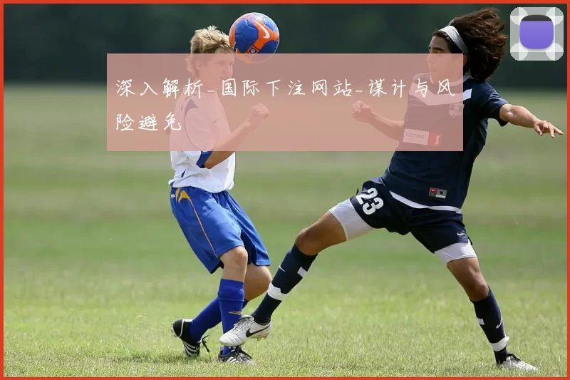 深入解析_国际下注网站_谋计与风险避免