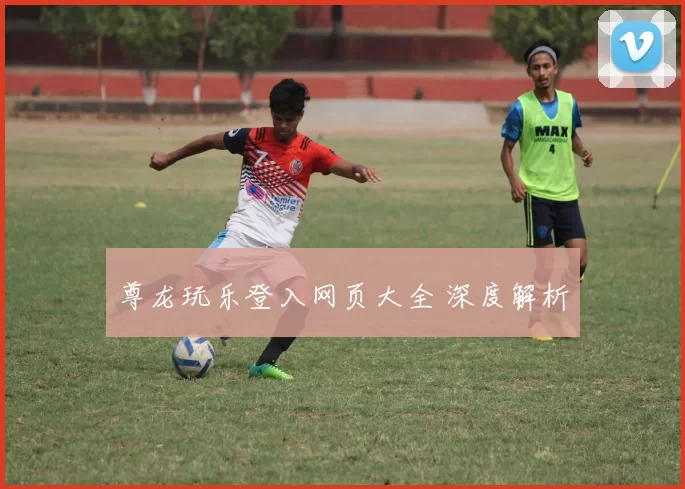 尊龙玩乐登入网页大全 深度解析