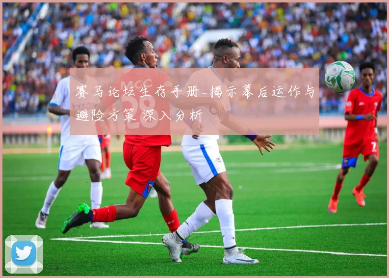 赛马论坛生存手册_揭示幕后运作与避险方策 深入分析