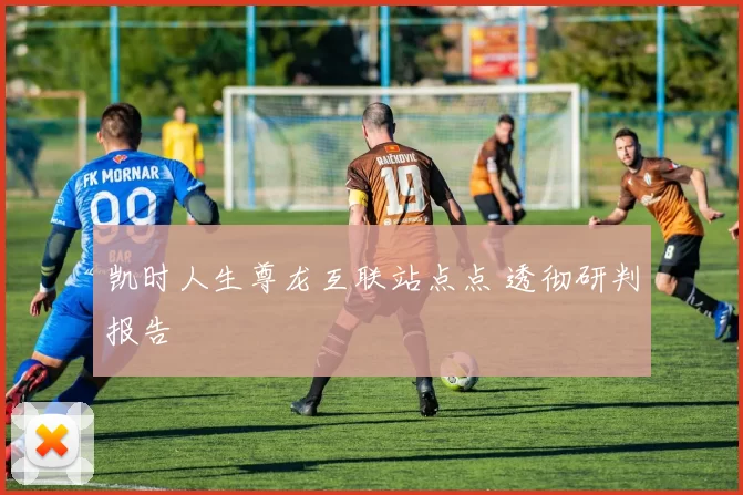 凯时人生尊龙互联站点点 透彻研判报告