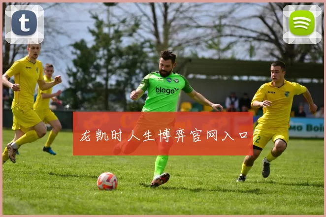 龙凯时人生博弈官网入口