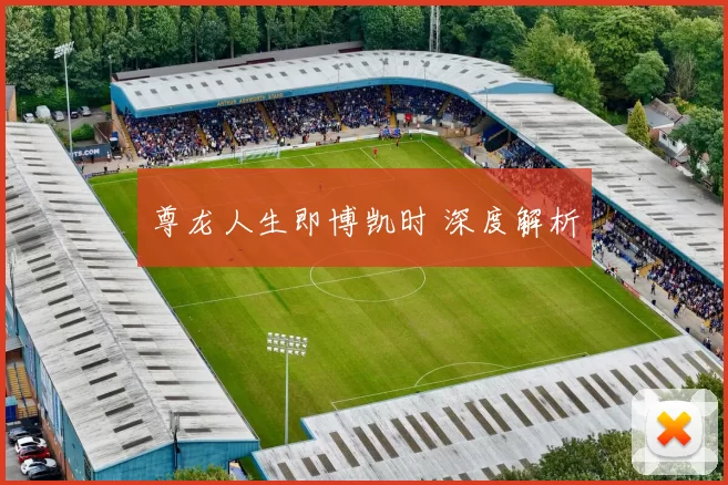 尊龙人生即博凯时 深度解析