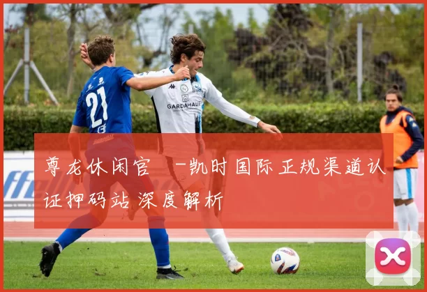 尊龙休闲官網-凯时国际正规渠道认证押码站 深度解析