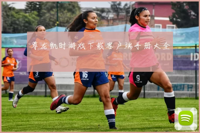 尊龙凯时游戏下载客户端手册大全