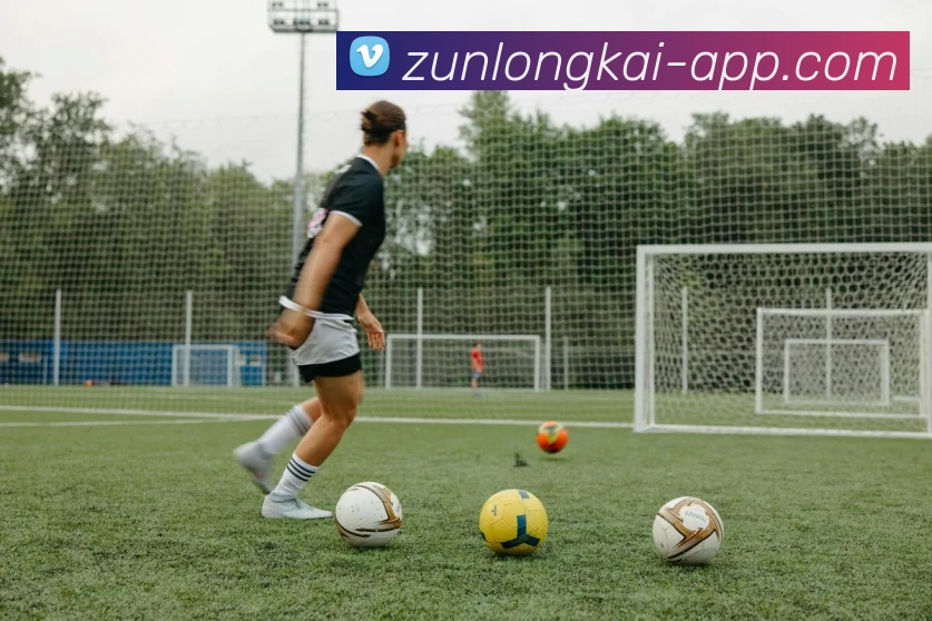 尊龙凯时人生就是搏服务体系