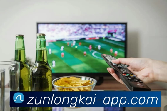 尊龙凯时人生就是搏APP 体育赛事宣传图